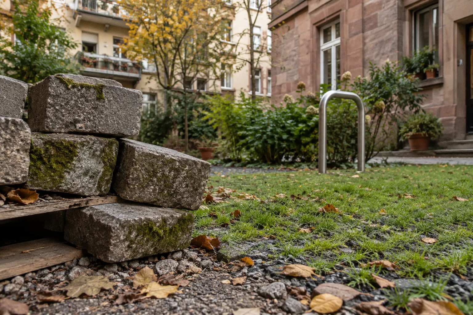 Entsiegelung von Parkplätzen: Lohnt sich der ökologische Umbau?